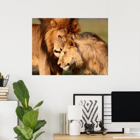 Poster Lions (Bureau à domicile)
