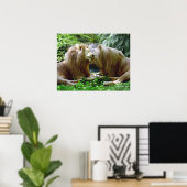 Poster Lions affectueux (Bureau à domicile)