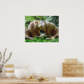 Poster Lions affectueux (Cuisine)