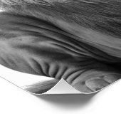 Poster Lions Artsy (Coin)