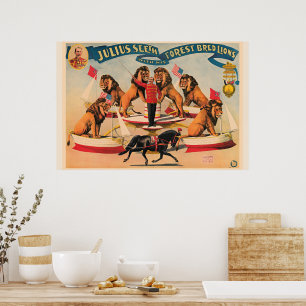 Poster Lions de cirque, illustration vintage,