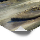 Poster Lions de la mer de San Diego (Coin)