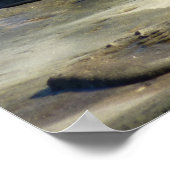 Poster Lions de la mer de San Diego (Coin)