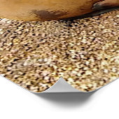 Poster Lions de la mer des bébés (Coin)