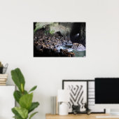 Poster Lions de mer dans la grotte (Bureau à domicile)