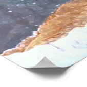 POSTER LIONS DE MONTAGNE (Coin)