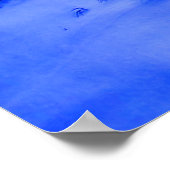 Poster Lions en hiver (Coin)