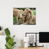 Poster Lions-Lèvres en Afrique du Sud (Bureau à domicile)