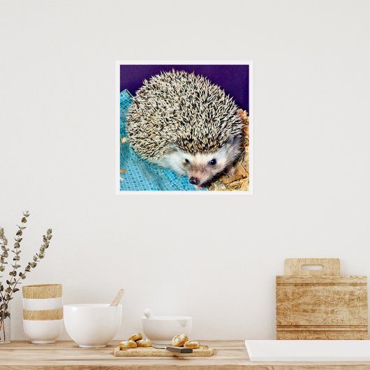 Poster Lioti le hérisson (Cuisine)