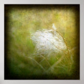 Poster Liquide (Devant)