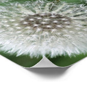 Poster Liquide blanc Dandelion gros vers le haut Abstrait (Coin)