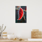 Poster Liquide cristallin Frost couvert Feuilles rouges (Cuisine)