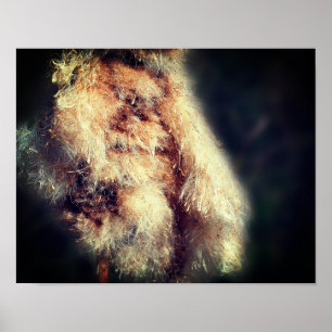 Poster Liquide de rotin gros