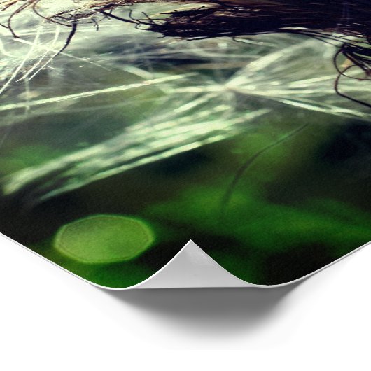 Poster Liquide de semence de chardon blanc (Coin)