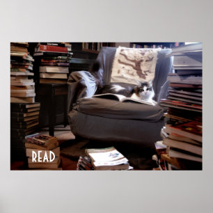 Poster Lire