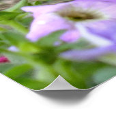 Poster Lire Le Chat Et Les Pétunias (Coin)