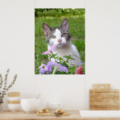 Poster Lire Le Chat Et Les Pétunias (Cuisine)