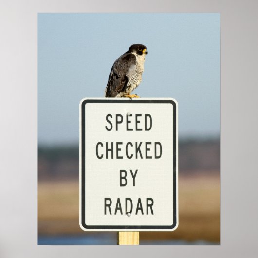 Poster L'Ironie ultime (Devant)