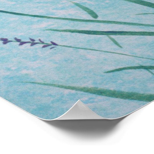 Poster Lirope (Coin)