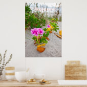 Poster Lis des plages (Ipomoea Stolonifera) (Cuisine)