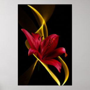 Poster Lis et copie de ruban