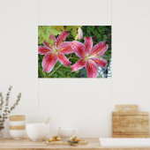 Poster Lis Stargazer Jardin Floral (Cuisine)