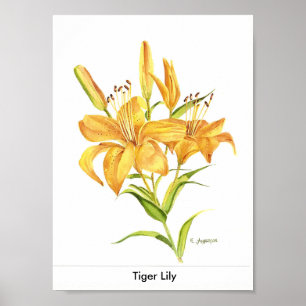 Poster Lis tigré dans l'or et l'aquarelle jaune