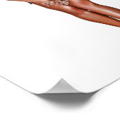 Poster Lisa Ann 7 (Coin)