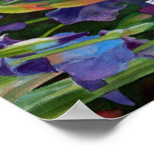 Poster Lisa's Iris Garden (Coin)