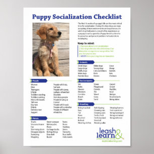 Poster Liste de contrôle de la socialisation des chiots