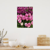 Poster Lit de jardin pourpre et rose Tulip, Oregon (Cuisine)