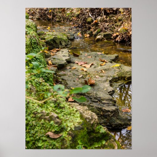 Poster Lit de roche North Wears Creek (Devant)