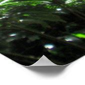 Poster Lit de ruisseau Mānoa (Coin)