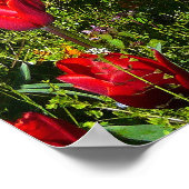 Poster Lit de tulipes (Coin)