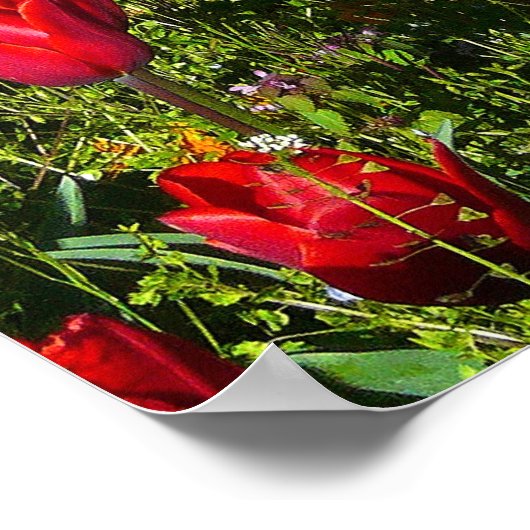 Poster Lit de tulipes (Coin)