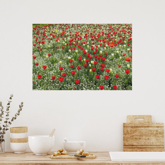 Poster Lit de tulipes (Cuisine)