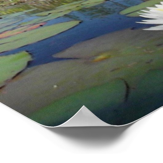 Poster Lit d'eau 2 (Coin)