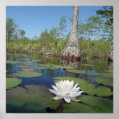 Poster Lit d'eau 2 (Devant)