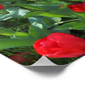Poster Lit des Tulipes rouges 01 (Coin)