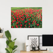 Poster Lit des Tulipes rouges 01 (Bureau à domicile)