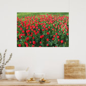 Poster Lit des Tulipes rouges 01 (Cuisine)