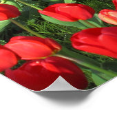 Poster Lit des Tulipes rouges 02 (Coin)