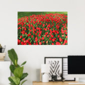Poster Lit des Tulipes rouges 02 (Bureau à domicile)