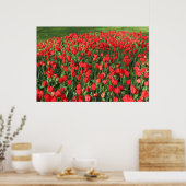 Poster Lit des Tulipes rouges 02 (Cuisine)