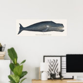 Poster Lithographie de baleine boréale (Bureau à domicile)