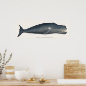 Poster Lithographie de baleine boréale (Cuisine)