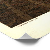 Poster Lithographie de reproduction de Boston 1877 (Coin)