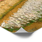 Poster Lits à fleurs en Hollande, Champs à bulbes par van (Coin)