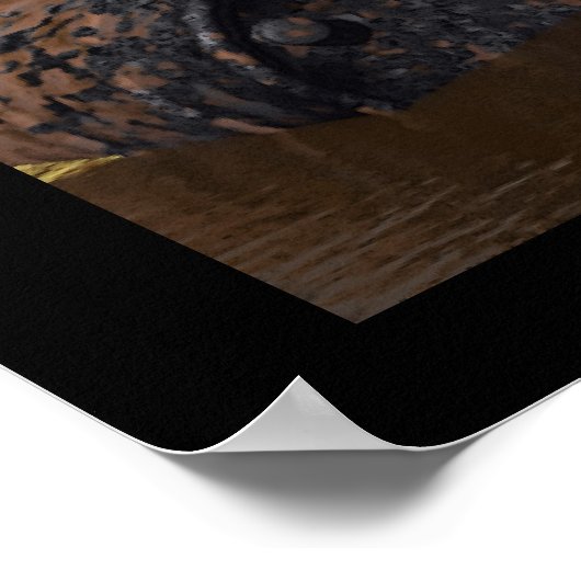 Poster Litterbugs (Coin)