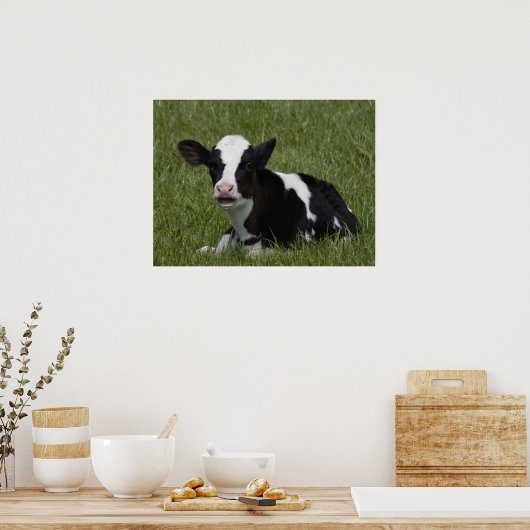 Poster Little Calf (Cuisine)
